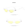 Small Cat Eye Triangle Sunglasses