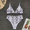 Leopard High Waist Bikini